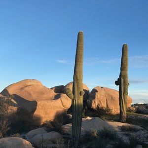 Meet your Posher, Jax